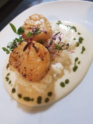 Scallops