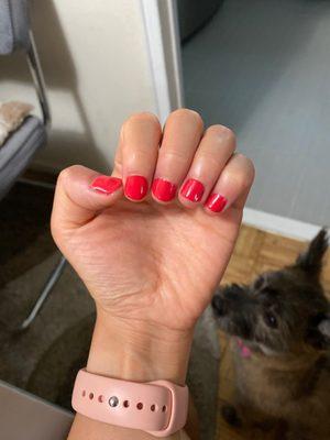 Spoiled Diva Nail Bar