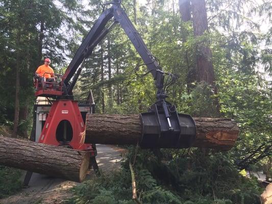 Seattle tree Removal with the help of our grapple truck.