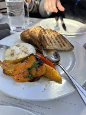 The Buratta cheese and grilled peppers with toast was Devine!