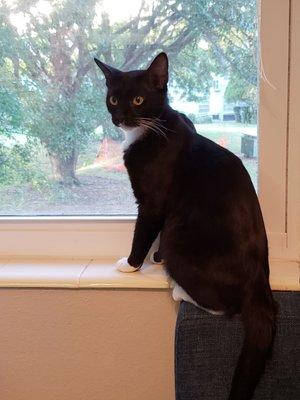 Nikki looks out the window at all the wildlife in On Top of the World.