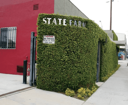 State Farm Office