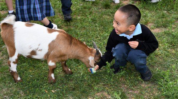 HFCS pre-k enjoys a visit from Fannie's Petting Zoo!