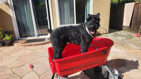 Randy at Charlie's house before his bath