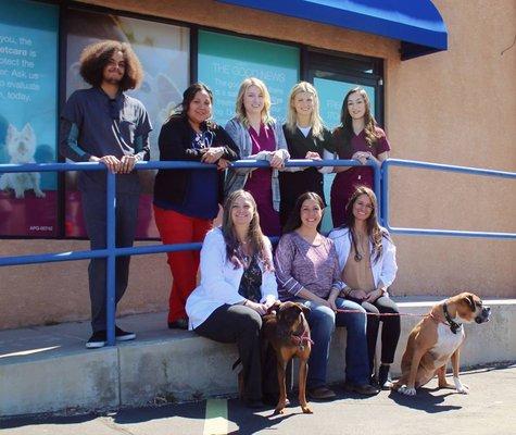 ABQ PetCare staff