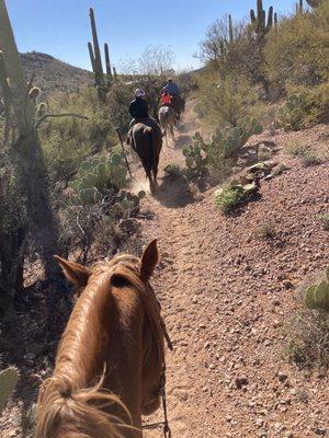 Horse ride