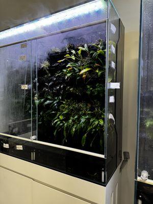 One of the many aquatic plant holding systems