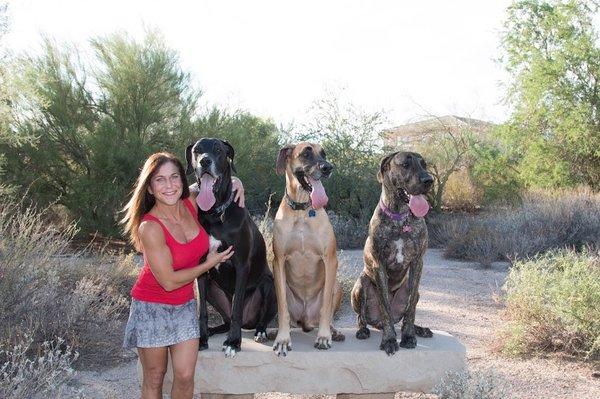 Elisa and her 3 Great Danes Clifford, T-Bone and Gretchen