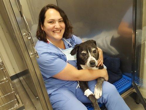 Tara, vet tech with Jersey.