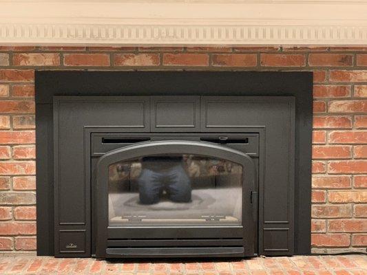 Napoleon wood fireplace insert