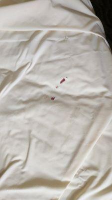 Dry blood in sheets