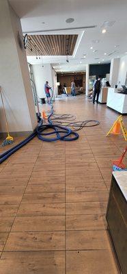 Commercial tile and grout cleaning.