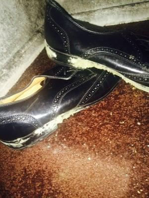 Mold on my fathers shoes really ?