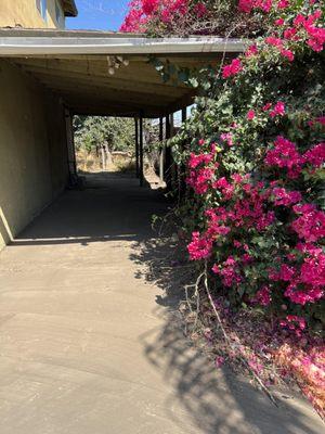 Now, there is full access to the carport and beyond.