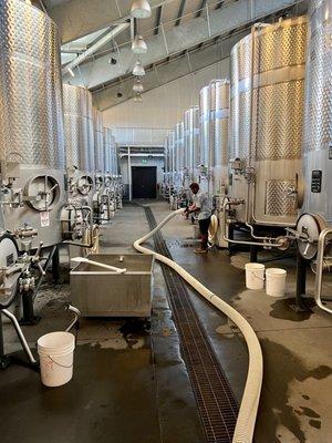 Wine making facility