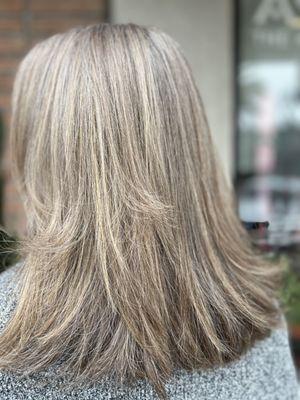 Highlighting Gray hair and a  cut