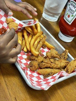 Kids Chicken Tenders & Fries