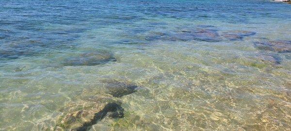 The water is so clear that you can see little fishies swim!