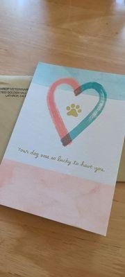 Sympathy card from the staff after my folks said goodbye to their husky last week