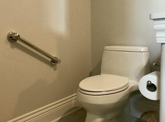 Toilet Area Grab Bars