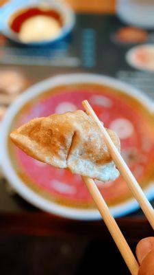 Fried Pork Dumpling (When it was Korean Noodle House)