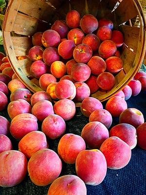 Peaches are in season!!