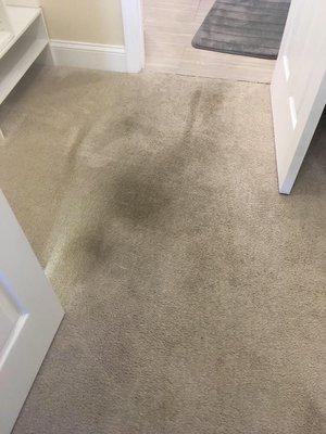 Dirty carpet