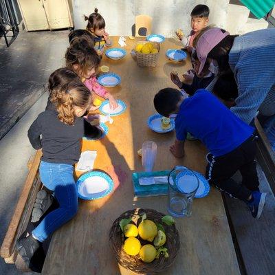 Lemonade Activity