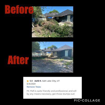 Tree Removal & Yard Cleaning