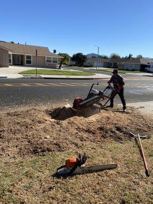 Stump removal