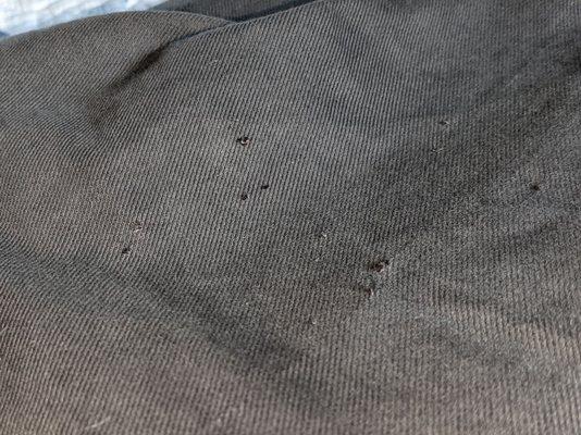 Damaged pants