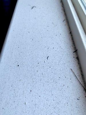 Smoke, soot and ash on bedroom window sill after wildfires