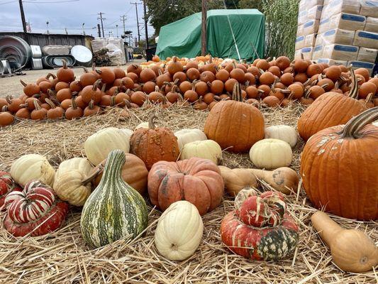 And gourds