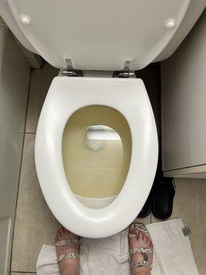 Our nice clean toilet