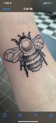 Black and Grey bee