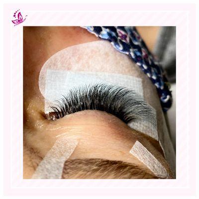 Volume Lashes