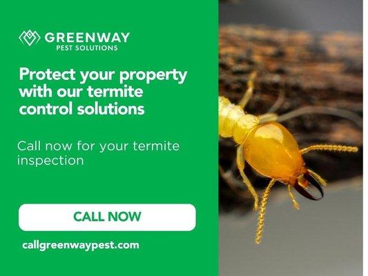 05_Greenway Pest Solutions_Worried about termite damage.jpg