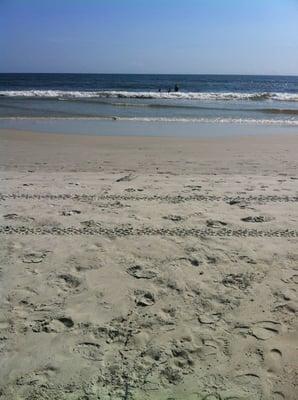 View from the beach boardwalk