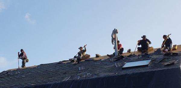 Removing old roof shingles.