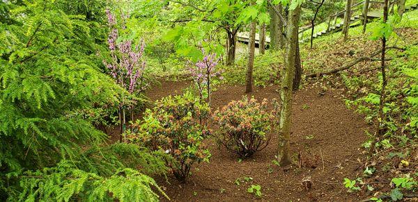 Mulch installation