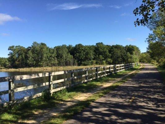 Two lanes with horse trail beside.