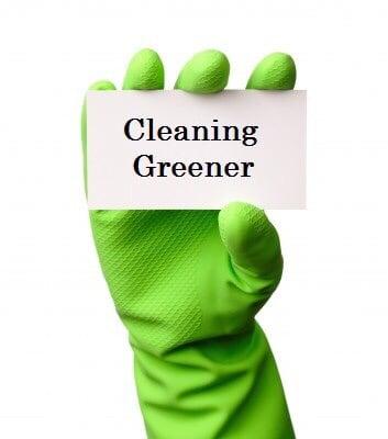 The Green Clean Team