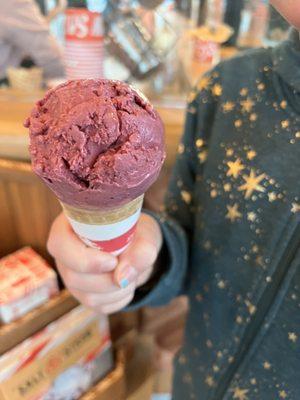 Kids cone Marionberry Coconut Sherbet (v)