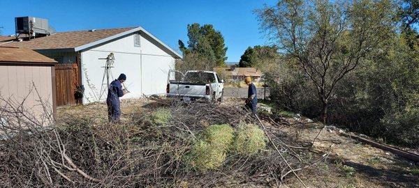 Before - brush disposal