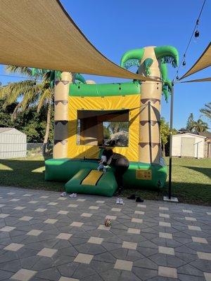 Jungle bounce house was a HIT! This was our second time renting it and the kids always love it. Installed safely with spikes.