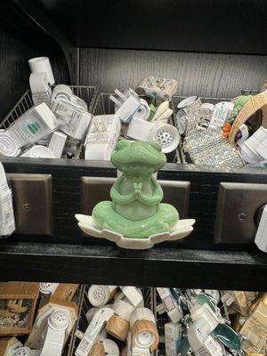 Zen frog wallflower plug