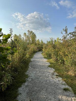 These are some well groomed trails.