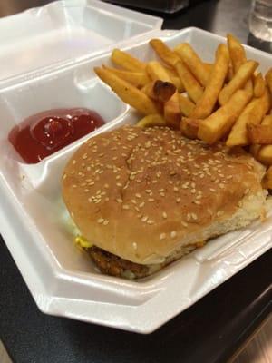 BBQ Beef and Fries