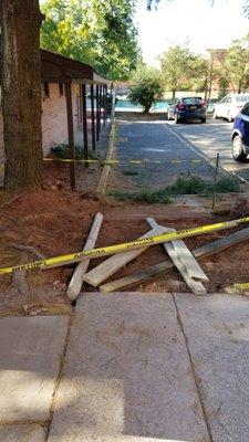 Cedar Lane Apts.Tore up only walkway to