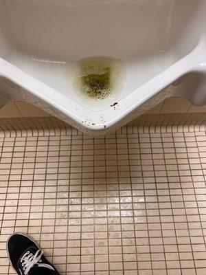 Shit on the men's room urinal